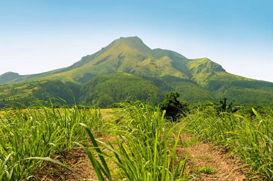 La Montagne Pelée . cr. CMT La Montagne Pelée . cr. CMT