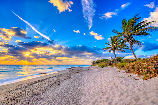The Palm Beaches - Coral Cove Park - Photo credit Captain Kimo The Palm Beaches - Coral Cove Park - Photo credit Captain Kimo