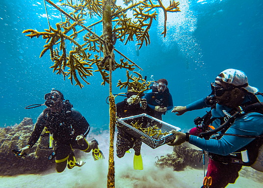 La Fondation Sandals célèbre son 15e anniversaire et son mandat d’autonomiser les communautés et les vies des Caraïbes La Fondation Sandals célèbre son 15e anniversaire et son mandat d’autonomiser les communautés et les vies des Caraïbes