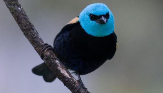 Pérou : Un chef de file du tourisme durable en Amérique du Sud - Une aventure inoubliable pour les Québécois Pérou : Un chef de file du tourisme durable en Amérique du Sud - Une aventure inoubliable pour les Québécois