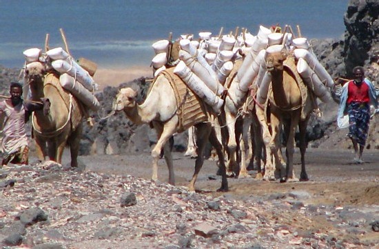 Djibouti : l'incontournable Lac Assal