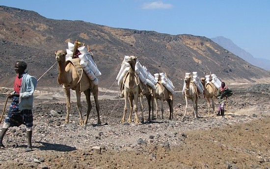 Djibouti : l'incontournable Lac Assal