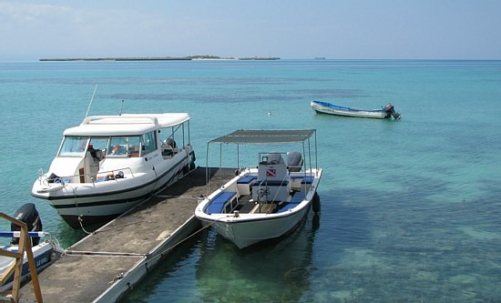 Djibouti : le paradis de la plongée sous marine avec en prime, une petite touche québécoise 