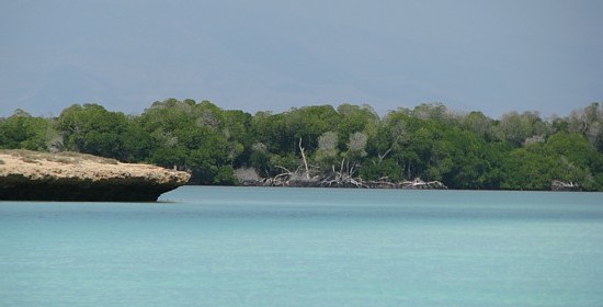 Djibouti : le paradis de la plongée sous marine avec en prime, une petite touche québécoise 