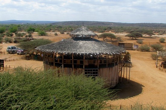 Djibouti et sa faune ; visite du refuge Decan