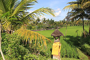 Bali: une île qui fait du bien...  (reportage -suite)