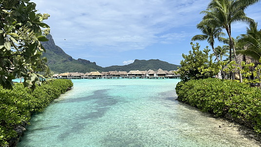 Évasion paradisiaque : Tours Chanteclerc explore la Polynésie française Évasion paradisiaque : Tours Chanteclerc explore la Polynésie française