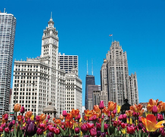 Chicago : nouveautés et actualités – hiver-printemps 2025 Chicago : nouveautés et actualités – hiver-printemps 2025