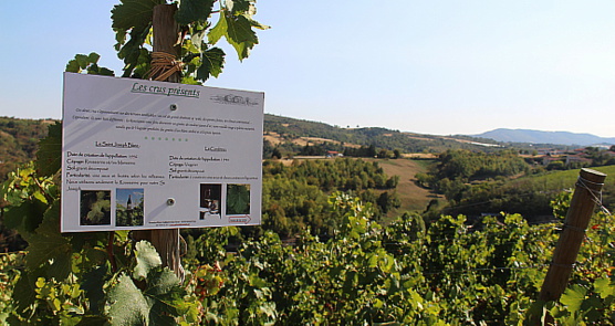 Situé à Malleval, le Domaine Pierre Gaillard accueille des visiteurs, pour des visites et dégustations Situé à Malleval, le Domaine Pierre Gaillard accueille des visiteurs, pour des visites et dégustations