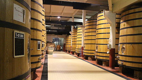 La cave de Tain
