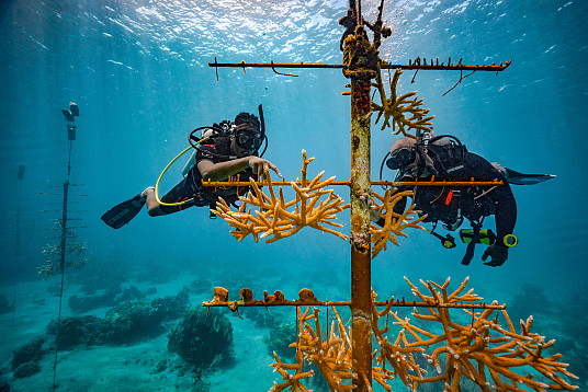 'L’amour en action' : Sandals Resorts publie un rapport sur la responsabilité sociale d'entreprise à l'occasion du mois de la Terre 'L’amour en action' : Sandals Resorts publie un rapport sur la responsabilité sociale d'entreprise à l'occasion du mois de la Terre