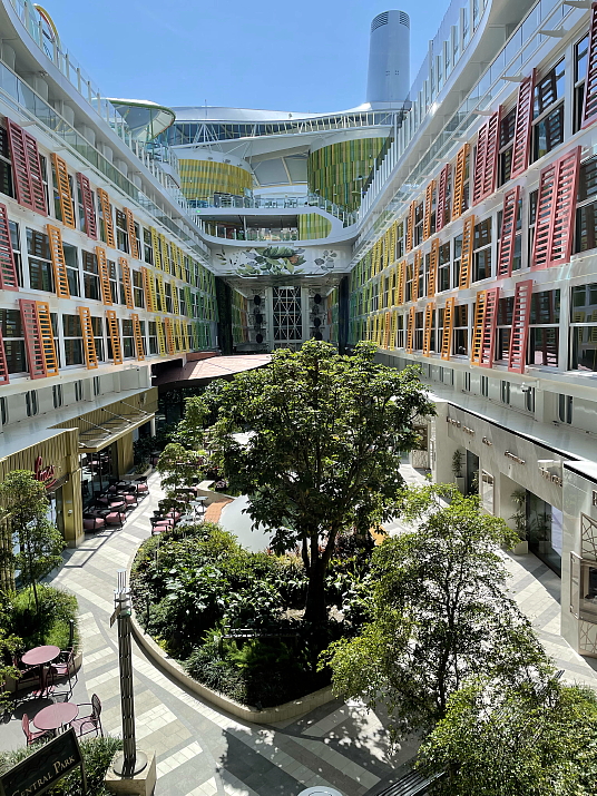 Icon of the Seas Icon of the Seas