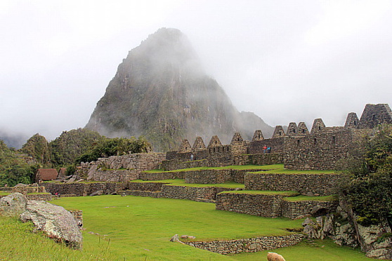 Le climat change rapidement à Machu Picchu. Parfois, le site se perd dans un nuage de brume.