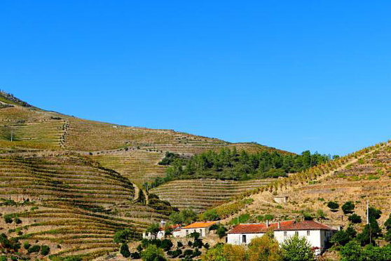 Vallée du Douro