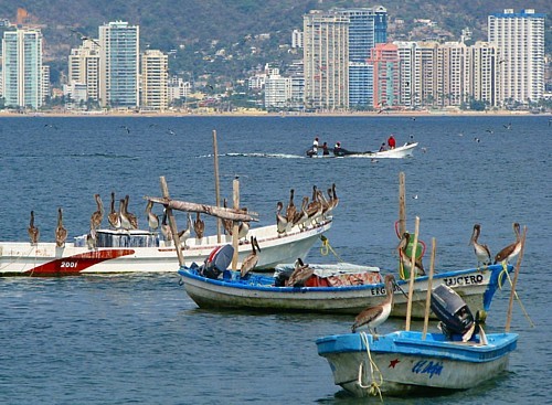 Le Tianguis et Acapulco racontés par les dirigeants de Canandes