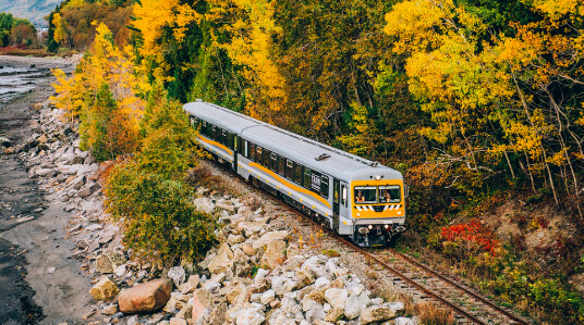 photo par Train de Charlevoix photo par Train de Charlevoix