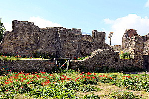 Pompéi est un vaste musée à ciel ouvert, qui raconte la vie quotidienne de l'Antiquité Pompéi est un vaste musée à ciel ouvert, qui raconte la vie quotidienne de l'Antiquité