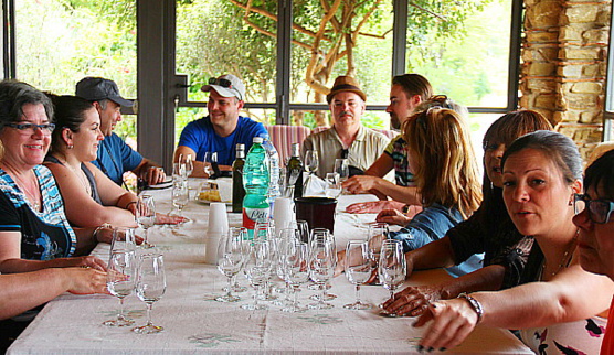 Au vignoble Viticoltori De Concilis