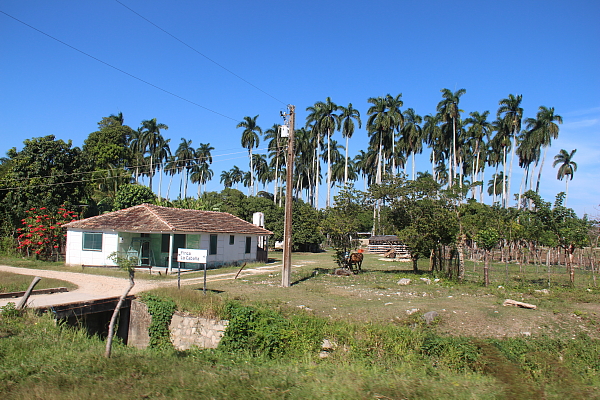 Excursions dans les cayos de Villa Clara