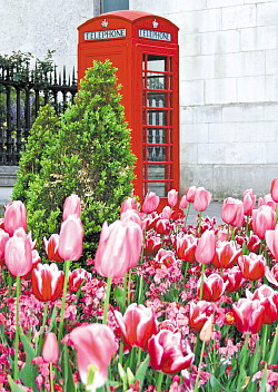 L’Europe de VAC : maintenant en vente L’Europe de VAC : maintenant en vente