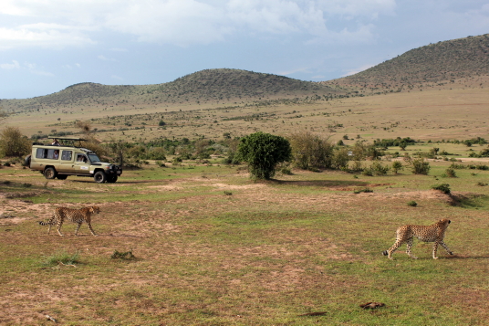 Tours Chanteclerc fait découvrir le Kenya à 16 agents du Québec Tours Chanteclerc fait découvrir le Kenya à 16 agents du Québec