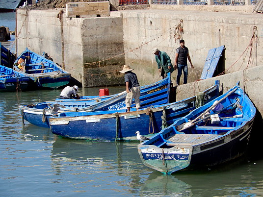 Dans le port d'Essaouira