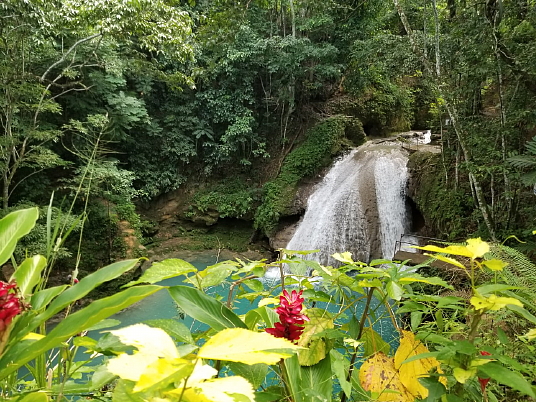 Éductour en Jamaïque : arrêt sur image