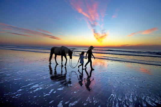 AMELIA ISLAND FERNANDINA BEACH (Peter W. Cross and Patrick Farrell)