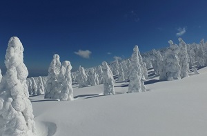 Yamagata: Les sculptures naturelles du Festival des Monstres des neiges de Zao (copyright JNTO)