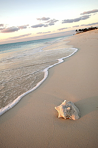 Grande Vente Turkoise! Grande Vente Turkoise!