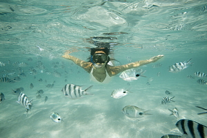 Plongez dans l’été et Réservez tôt, Réservez futé : deux offres du Club Med à ne pas manquer! Plongez dans l’été et Réservez tôt, Réservez futé : deux offres du Club Med à ne pas manquer!