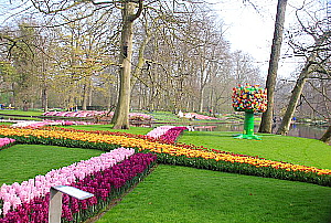 Pays-Bas: Vive la tulipomanie !