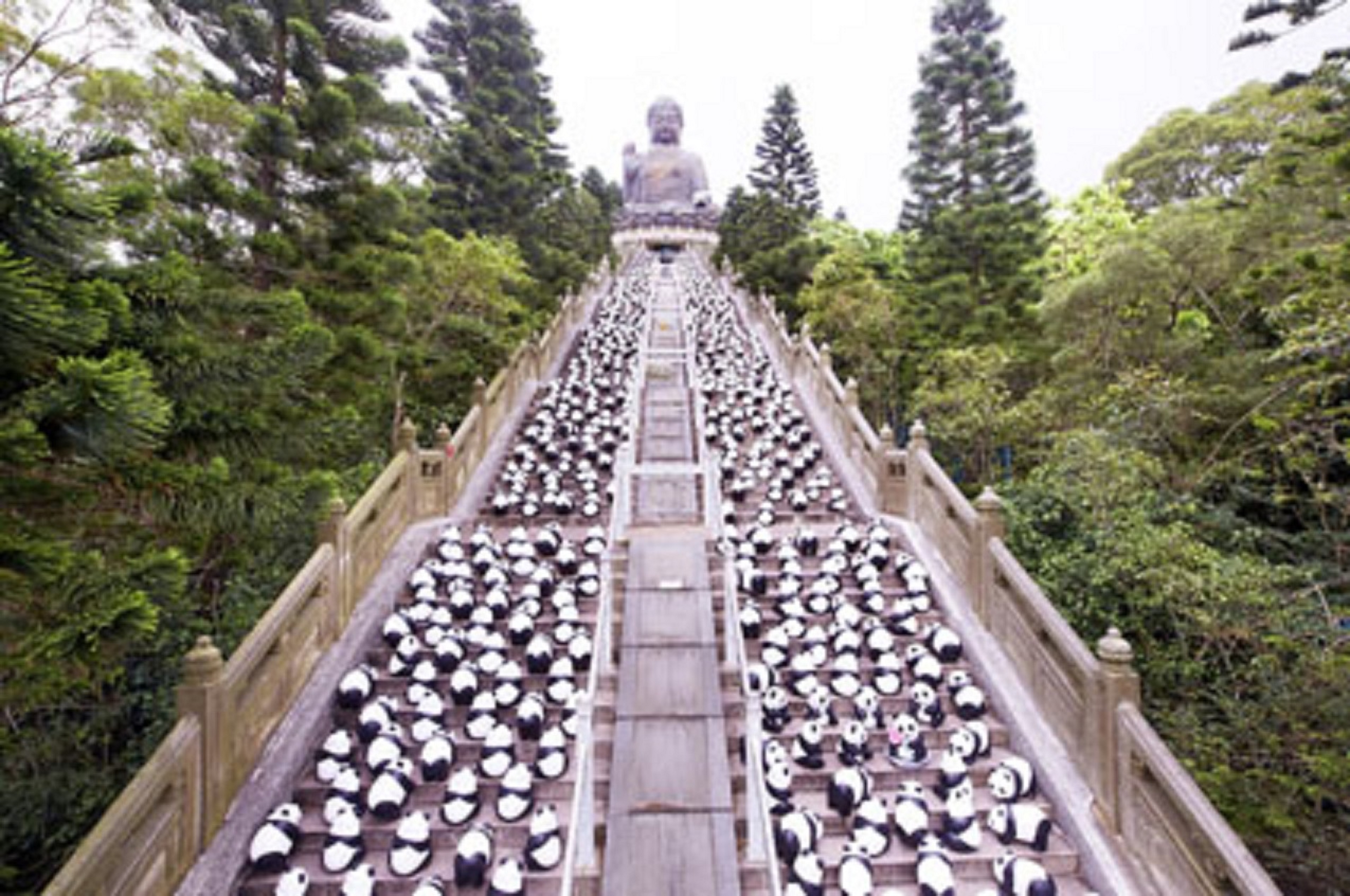 La tournée des 1600 pandas fait escale à Hong Kong et au PMQ