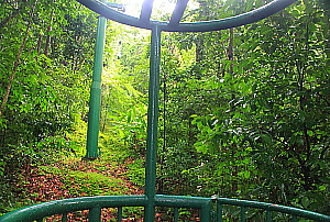 Les nacelles aériennes de Rain Forest Adventures nous conduisent jusqu'au sommet des arbres