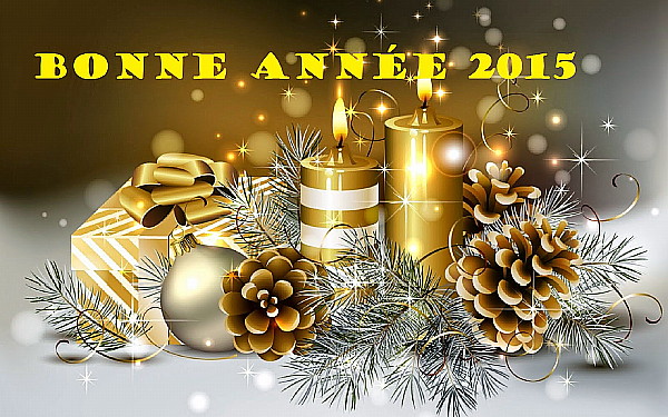 Bonne année !!!