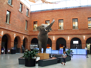 Le Musée d'histoire naturelle, parmi les attraits préférés des familles
