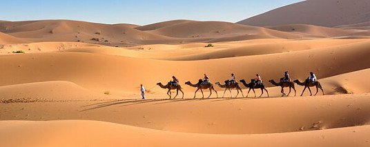 Les splendeurs du Maroc à portée de main : Transat dévoile son offre de forfaits, circuits et excursions