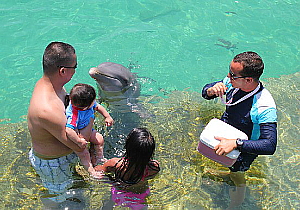 Cayo Coco possède aussi son Delphinarium, qui fait le plaisir des familles.