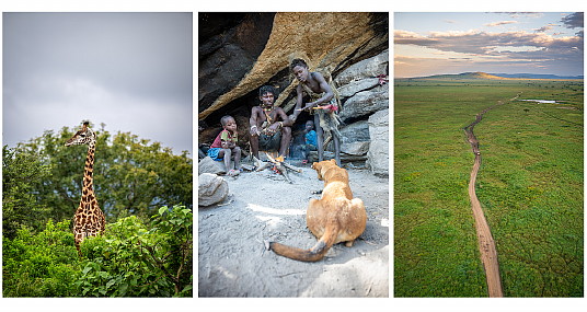 Faune - Tribu Hadzabe et Plaine du Serengeti en montgolfière