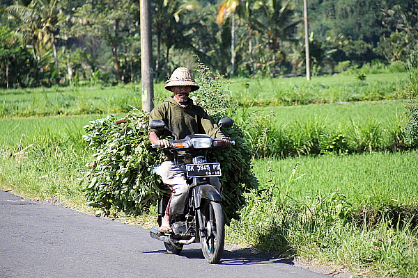 L'est de l'île permet de découvrir le Bali plus rural et plus tranquille