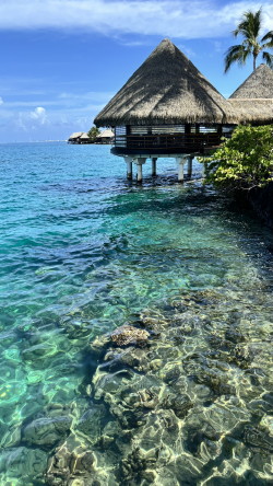 Évasion paradisiaque : Tours Chanteclerc explore la Polynésie française Évasion paradisiaque : Tours Chanteclerc explore la Polynésie française