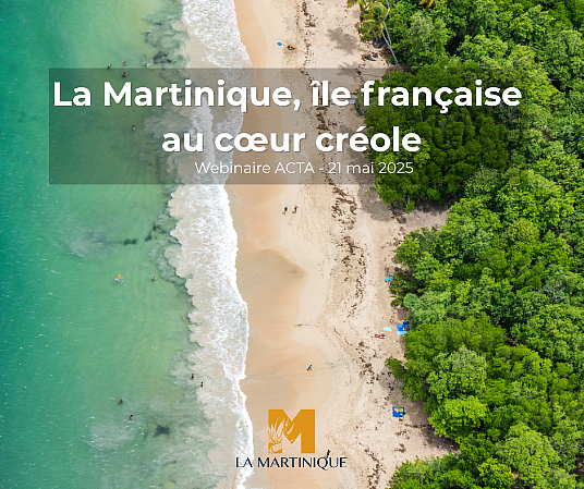Webinaire ACTA : La Martinique, île française au cœur créole. C'est bientôt ! (révisé)