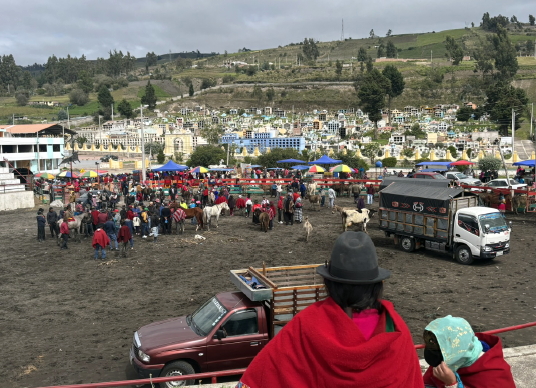Foire au bétail du marché traditionnel autochtone de Guamote
