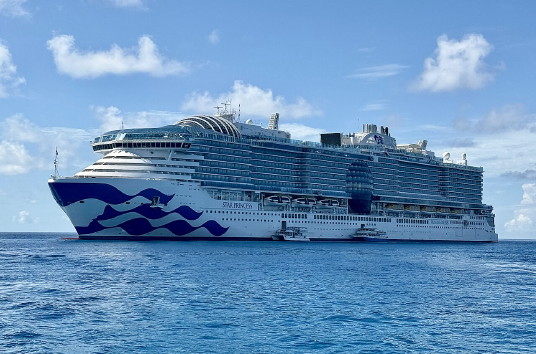 Le Star Princess aux prises avec un norovirus à bord