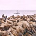 Monterey Bay, Californie